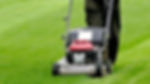 Lawn Mowing Services