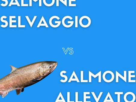 Salmone Selvaggio vs Salmone Allevato: Una Scelta Nutrizionale e Ambientale. L'Analisi del Dott. Davide Palumbo