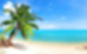 beach scene-1.jpg