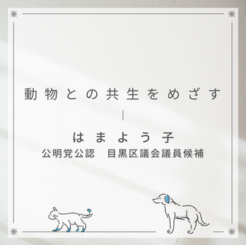はまよう子画像カード_14.png