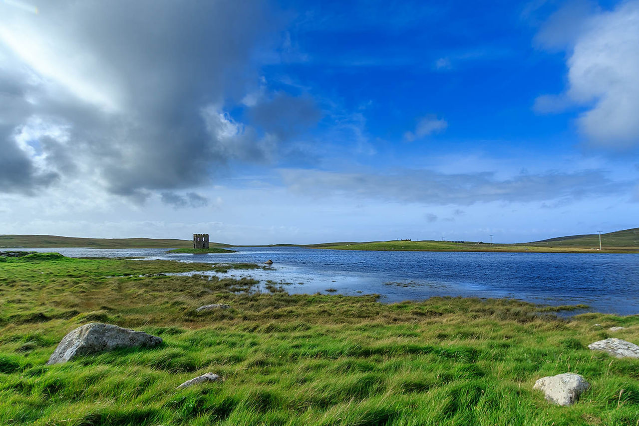 Macleod's Folly.