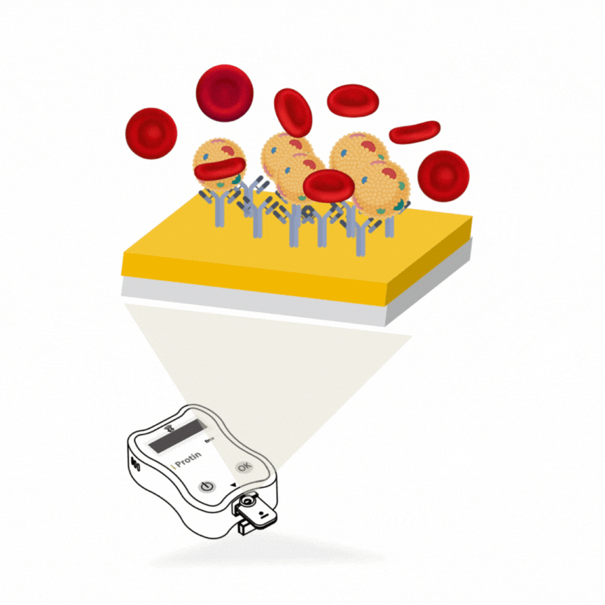 R&D vibration-2.gif