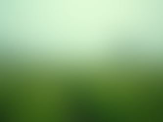 Investing for All: How $20 a Month Can Empower Your Wealth Journey in Paraguay