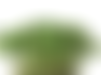 Borage Cress