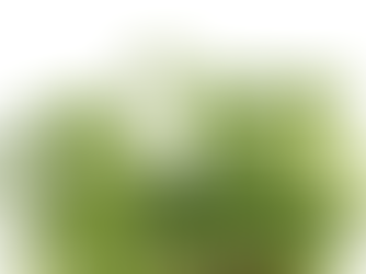 Persinette® Cress