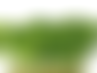 Limon Cress