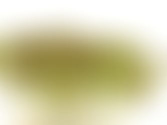 Bicolor Mustard Cress