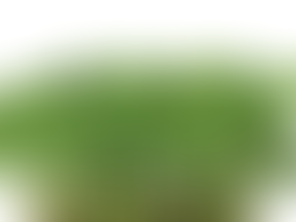 Basil Cress