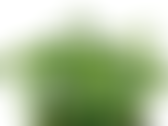 Honny® Cress