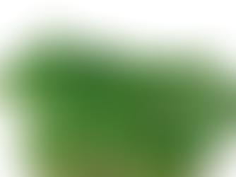 Atsina® Cress
