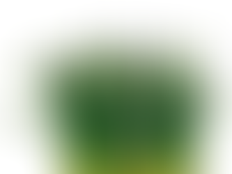 Rock Chives®