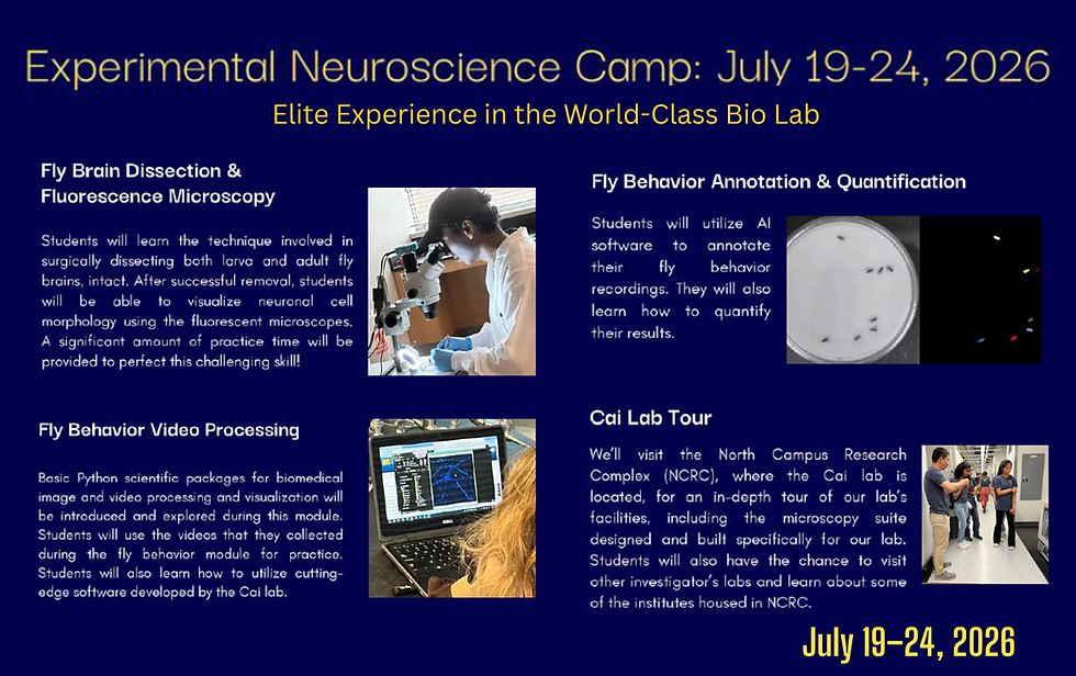 Thumbnail: Neuroscience+AI Research Part II - On-Site Summer Camp G9 - G11