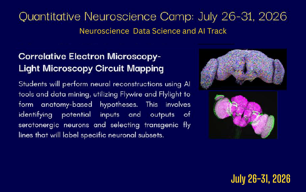 Thumbnail: Neuroscience+AI Research Part II - On-Site Summer Camp G9 - G11