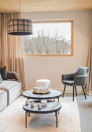 Photographie immobilière d'un salon lumineux avec grandes fenêtres et décoration contemporaine