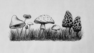 20200903_150125 edit.jpg