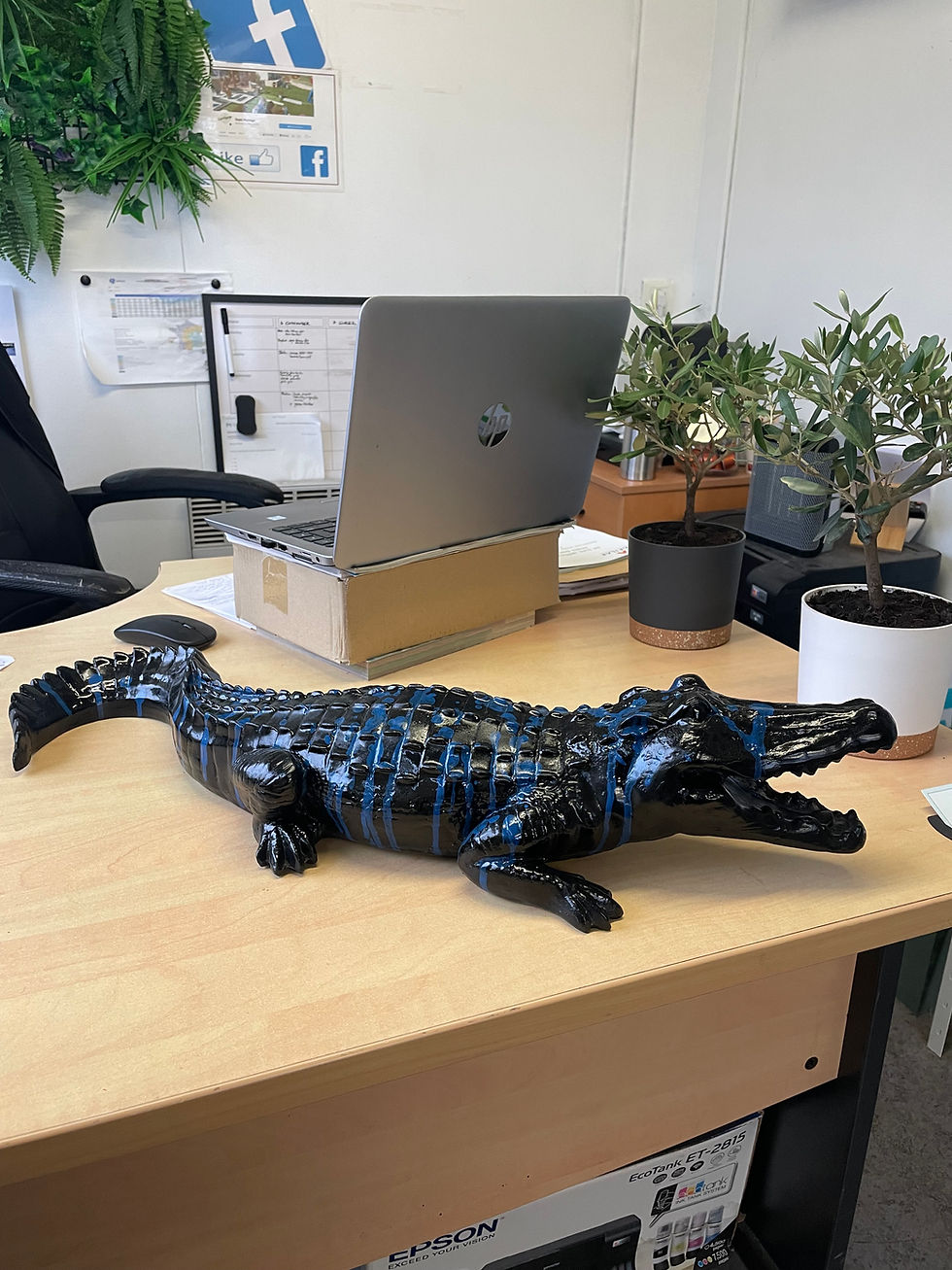 Miniature : Crocodiles