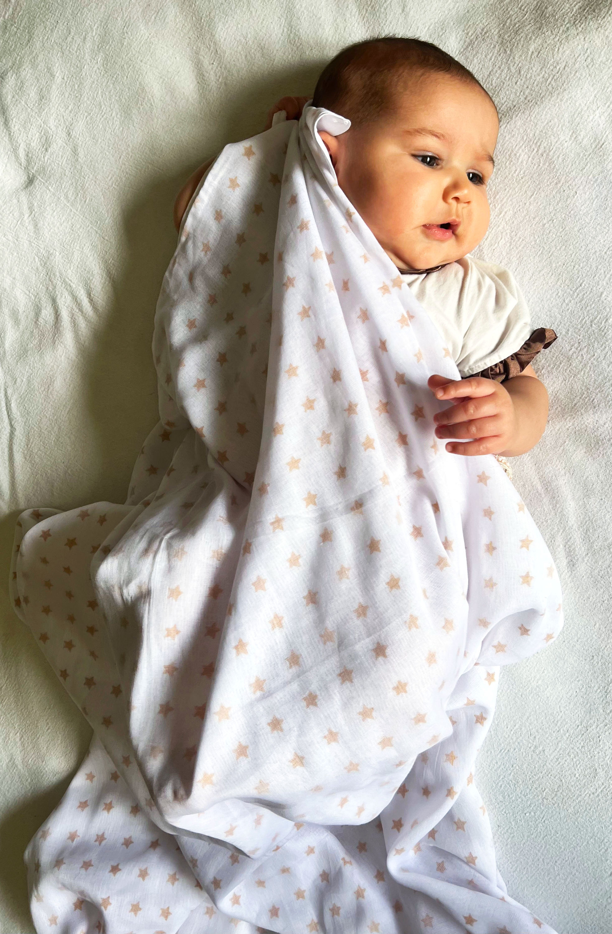 California Pink Poppy