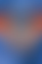 War of Wyverns by S.F. Williamson