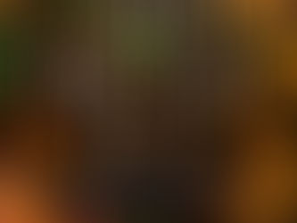 What Did You Do? by Jeneane O'Riley