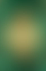 Fallen Stars by Imani Erriu