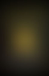 Fallen City by Adrienne Young