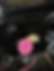 Thumbnail: 2024+ Honda NX500 Ignition Cover