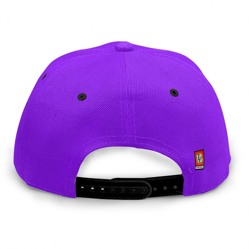 Thumbnail: BB313™ STANDARD SNAPBACK (purple)