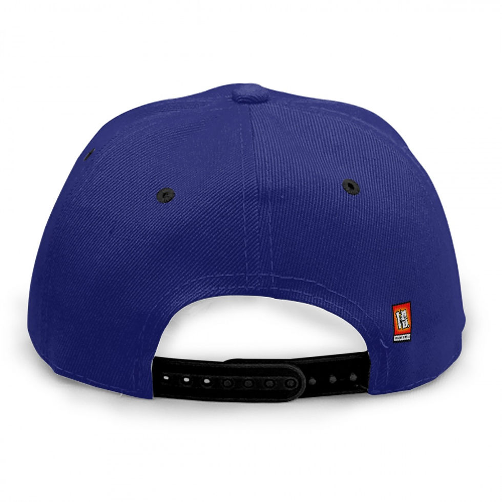 Thumbnail: BB313™ STANDARD SNAPBACK( (blue)