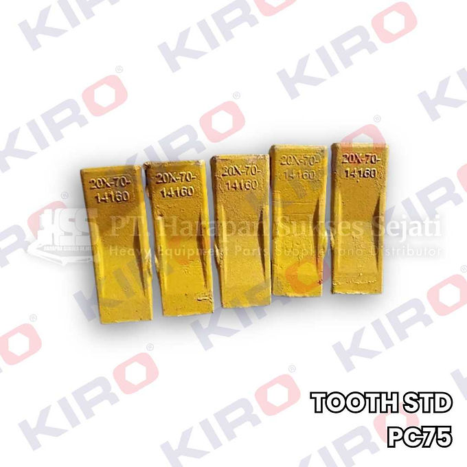 Tooth Std PC75
