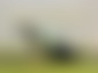 ◆体幹を鍛えて姿勢改善していきましょう！