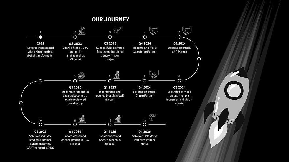 Levarus Roadmap Path.jpg