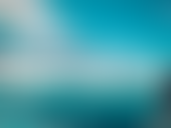 Levarus: The Premier SAP Business One ERP Implementation Partner in Port Moresby, Papua New Guinea