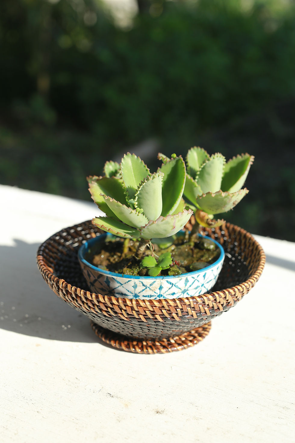 Thumbnail: Round Key Bowl