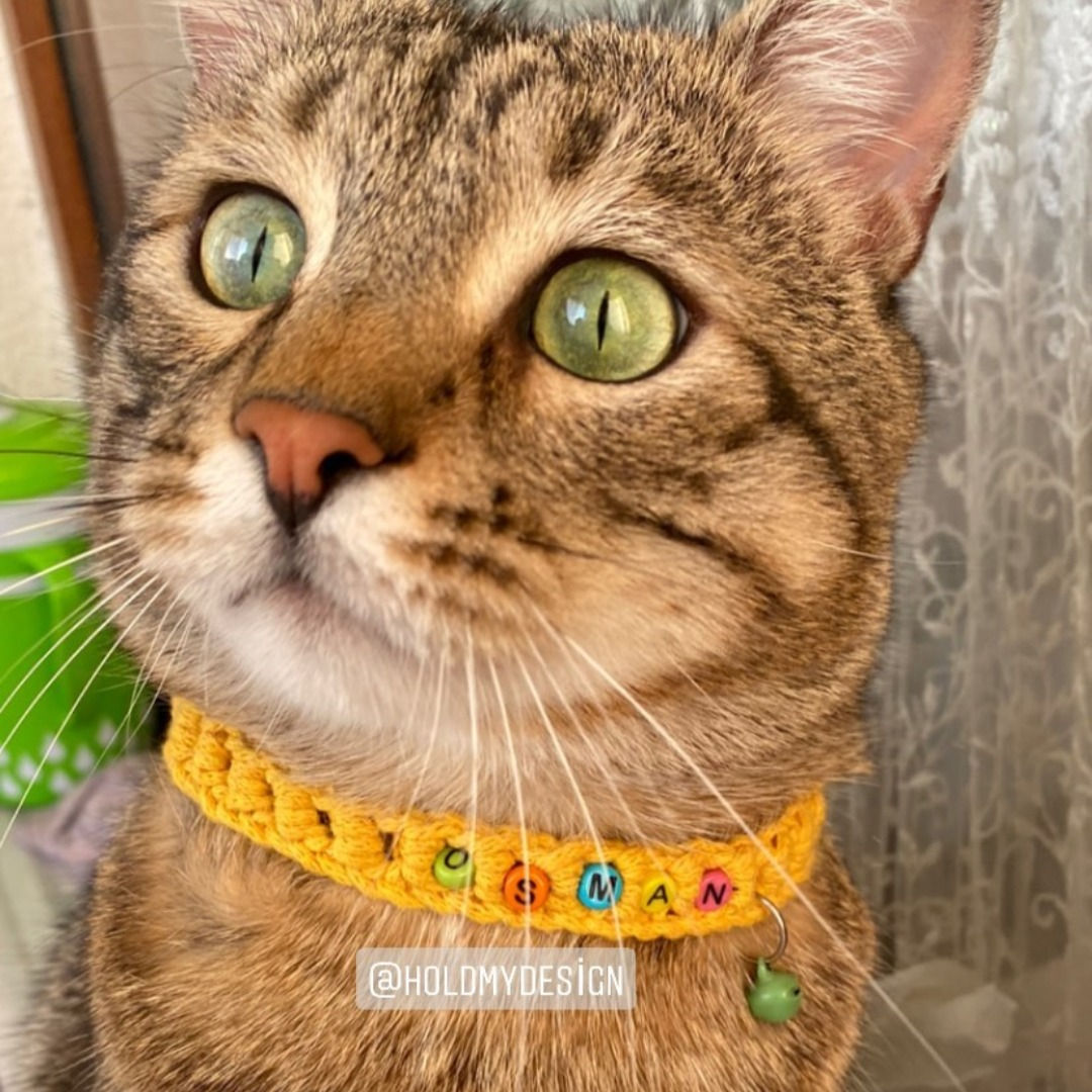 El yapımı, safety click , pamuklu, güvenli, kedi tasması.