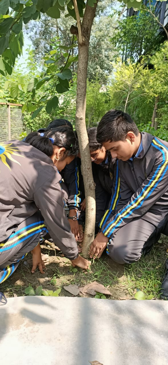 Top CBSE School in Haridwar