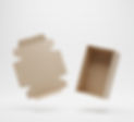 Gemini_Generated_Image_71bl0n71bl0n71bl_edited.jpg