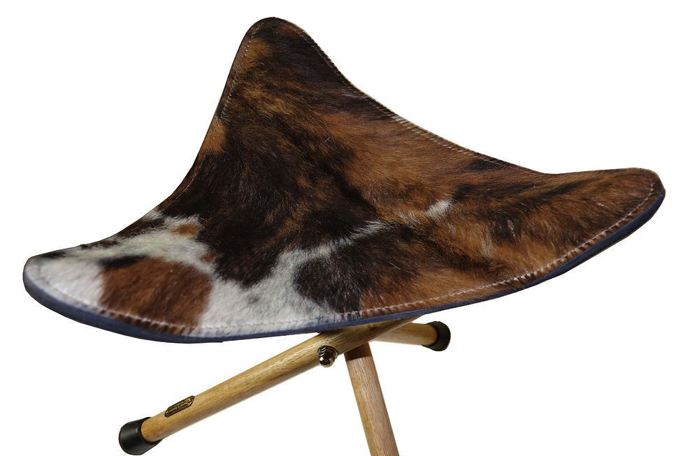 Thumbnail: Tripod Folding Stool