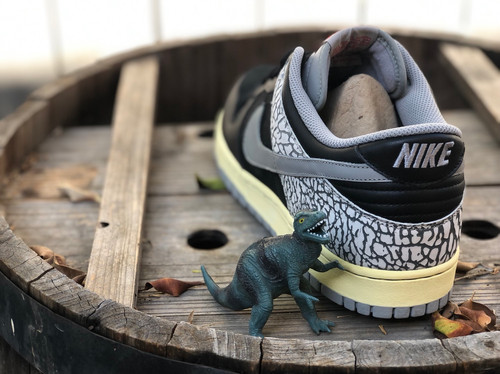 Dunk Low Cl Jordan Pack Black Cement 2009 | The Sneaker Professor