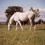 IMG_8319.jpeg
