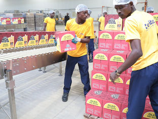 Trabalhadores da fábrica de óleos alimentares