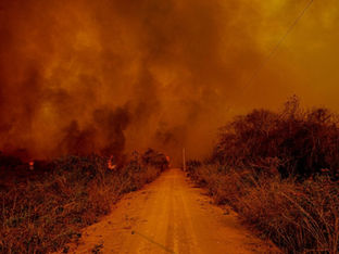 Queimadas no Brasil sobem 79% em 2024, devastando 30,8 mi de hectares
