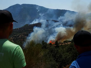 Dois homens olham para área incendiada na mata