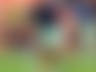 Polícia busca testemunhas após alegado caso abuso racial em jogo de futebol