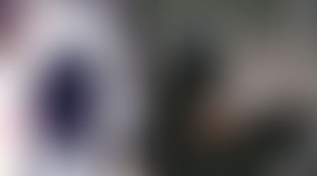 Criminosos capturados após série de assaltos no Reino Unido