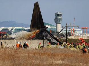 Restos de Pássaro Encontrados em Avião que Explodiu na Coreia do Sul