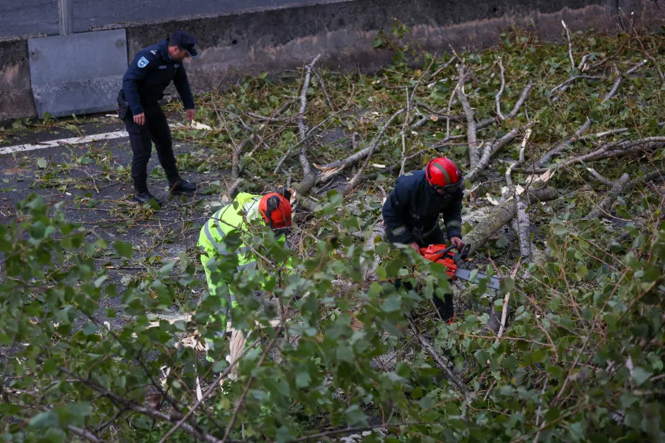 Na imagem aparece uma árvore caída e profissionais limpando a rua