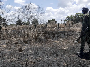 Militares patrulham uma área de vegetação seca e queimada, em ambiente de savana, durante o dia.