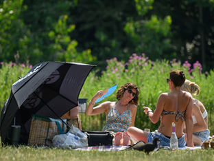 Mulheres tomando sol em gramado
