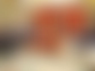 Reunião formal em uma sala de governo. O Presidente de Moçambique, Filipe Nyusi, está sentado ao centro, próximo a duas bandeiras moçambicanas. À sua frente, uma delegação italiana com vários homens de terno toma notas e acompanha a conversa.