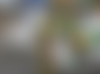 Tzu Chi distribui sementes a 2.700 famílias em Moçambique